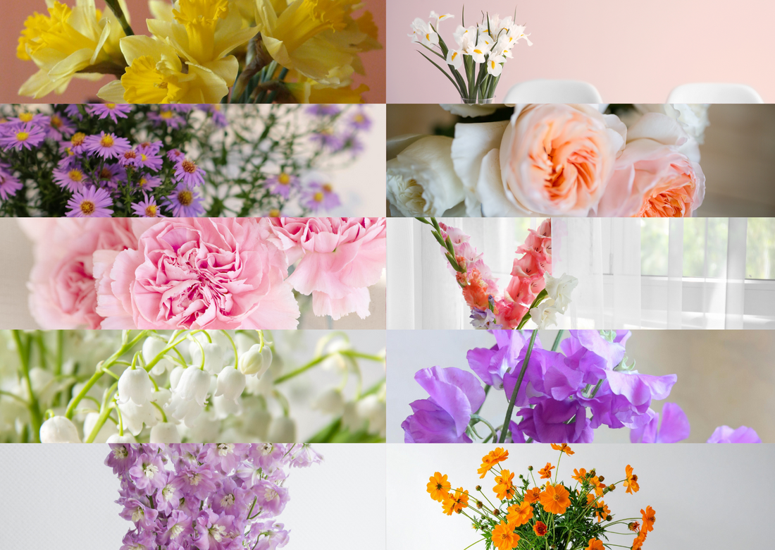 The Language of Birth Month Flowers: A Timeless Floral Tradition