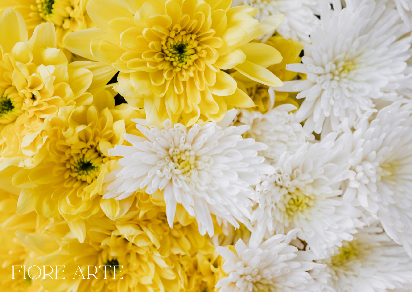 Flower Etiquette for Funerals in Singapore: A Guide to Meaningful Condolence Flowers