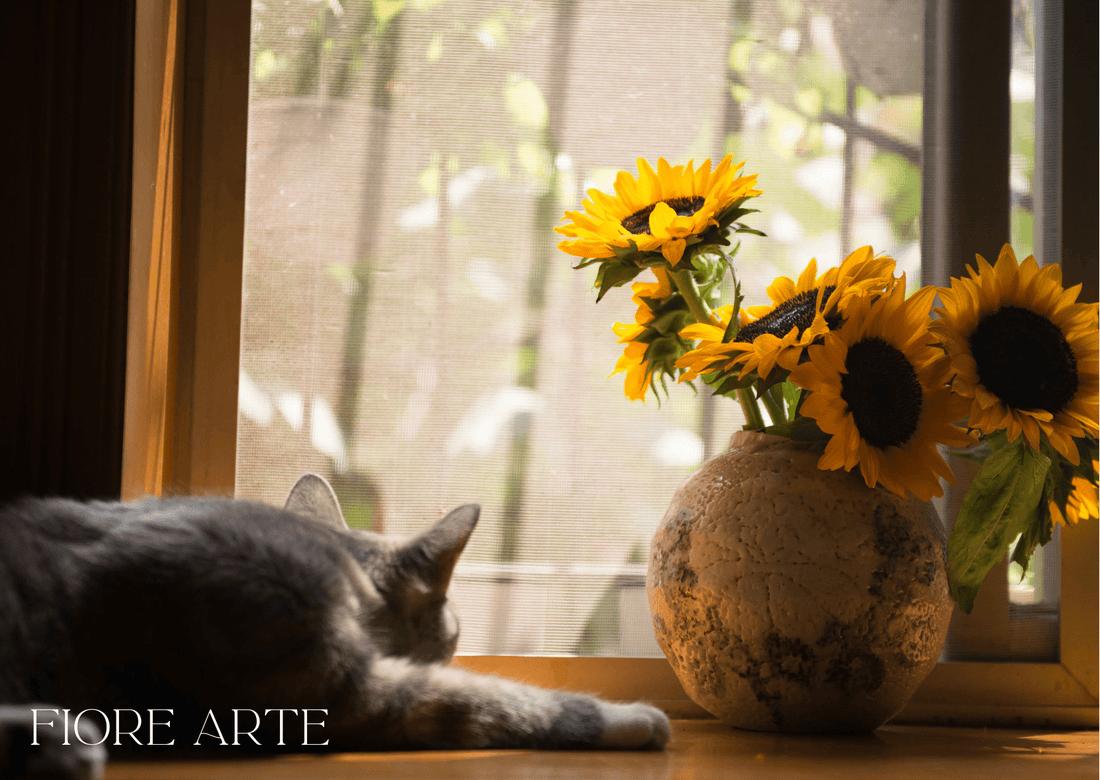 Pet-Safe Flowers: Blooms You Can Safely Enjoy with Cats and Dogs at Home