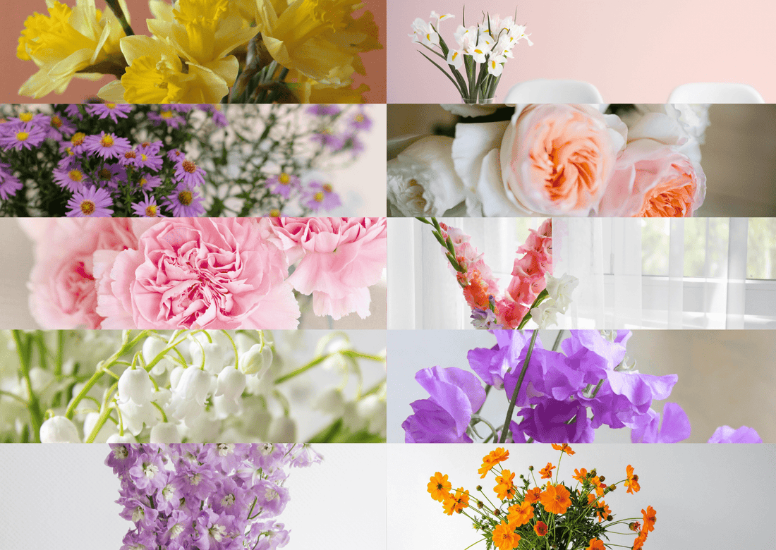 The Language of Birth Month Flowers: A Timeless Floral Tradition