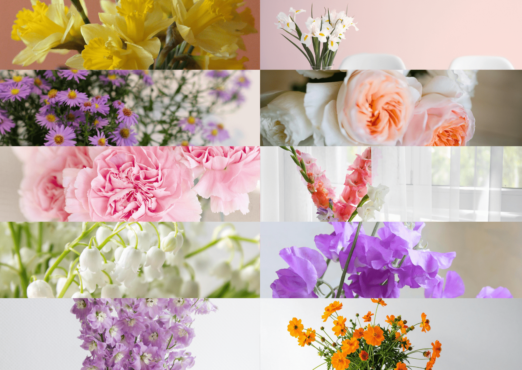 The Language of Birth Month Flowers: A Timeless Floral Tradition