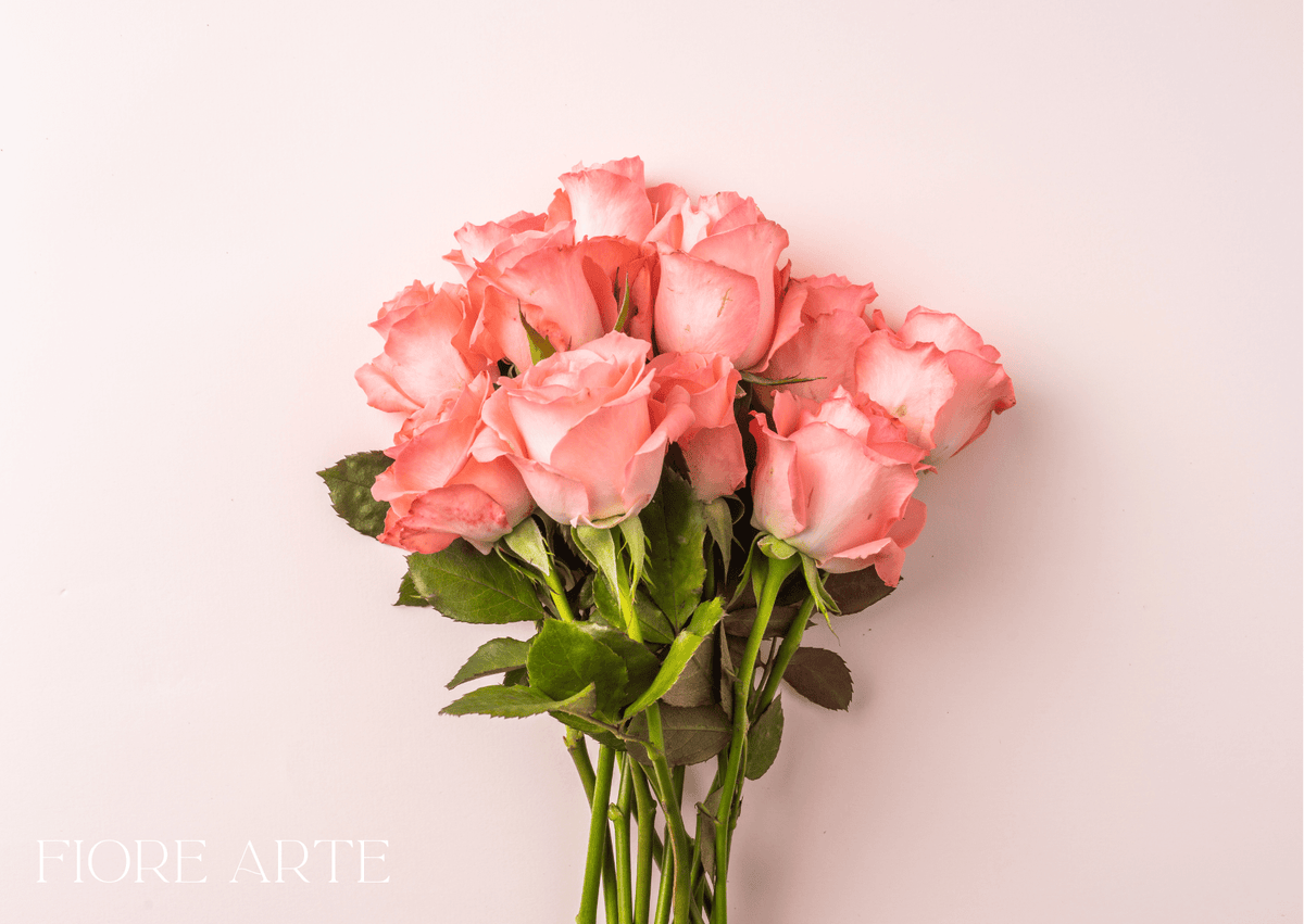 Modern Traditional Roses The Rose, Reimagined: Exploring Modern Rose Varieties – Fiore Arte