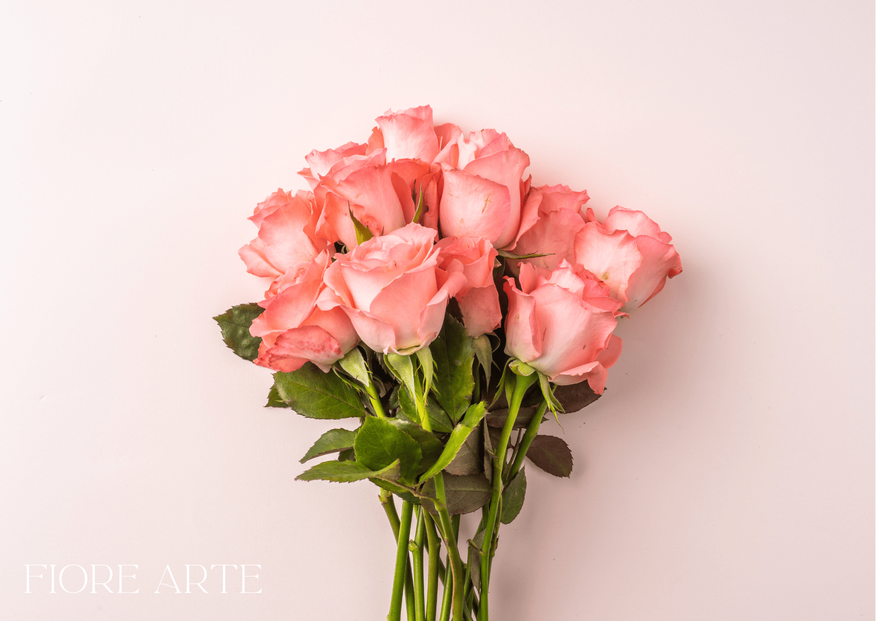 The Rose, Reimagined: Exploring Modern Rose Varieties in Floral Design