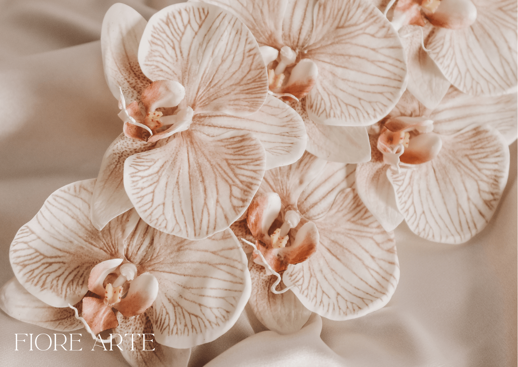 Top 5 Flowers That Last the Longest in Singapore’s Weather