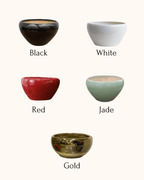 5 Orchids in a Pot - Fiore Arte