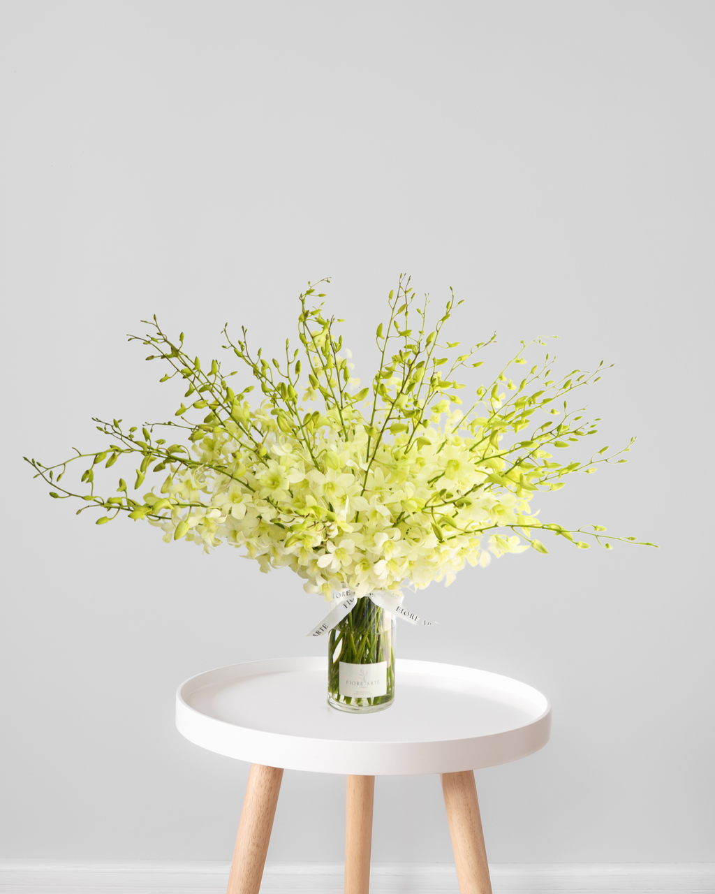 White Orchid en Masse