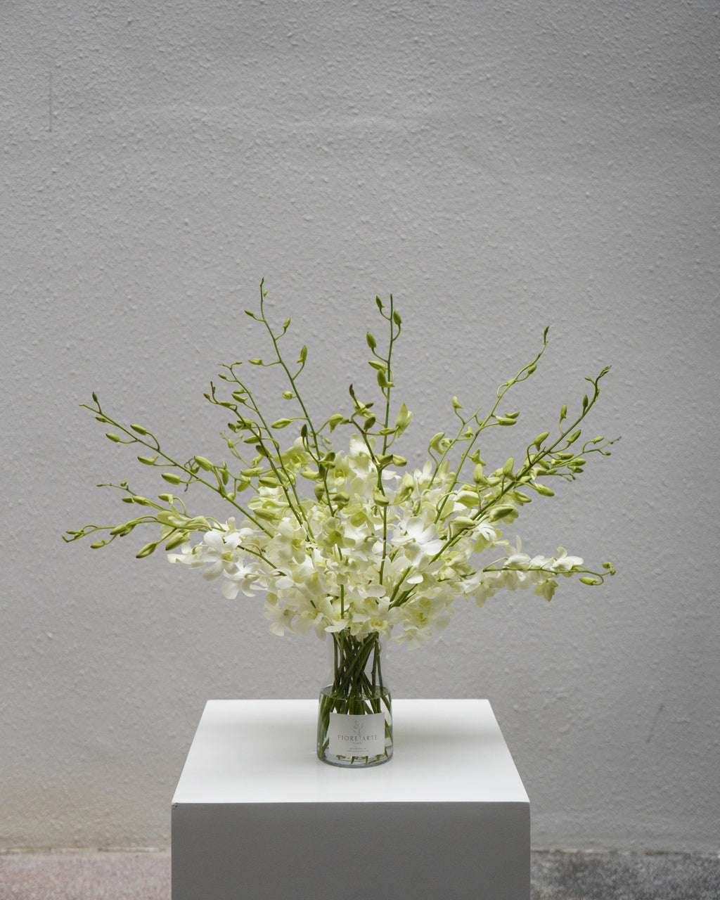 White Orchid en Masse