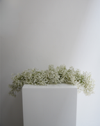 Baby's Breath Garland