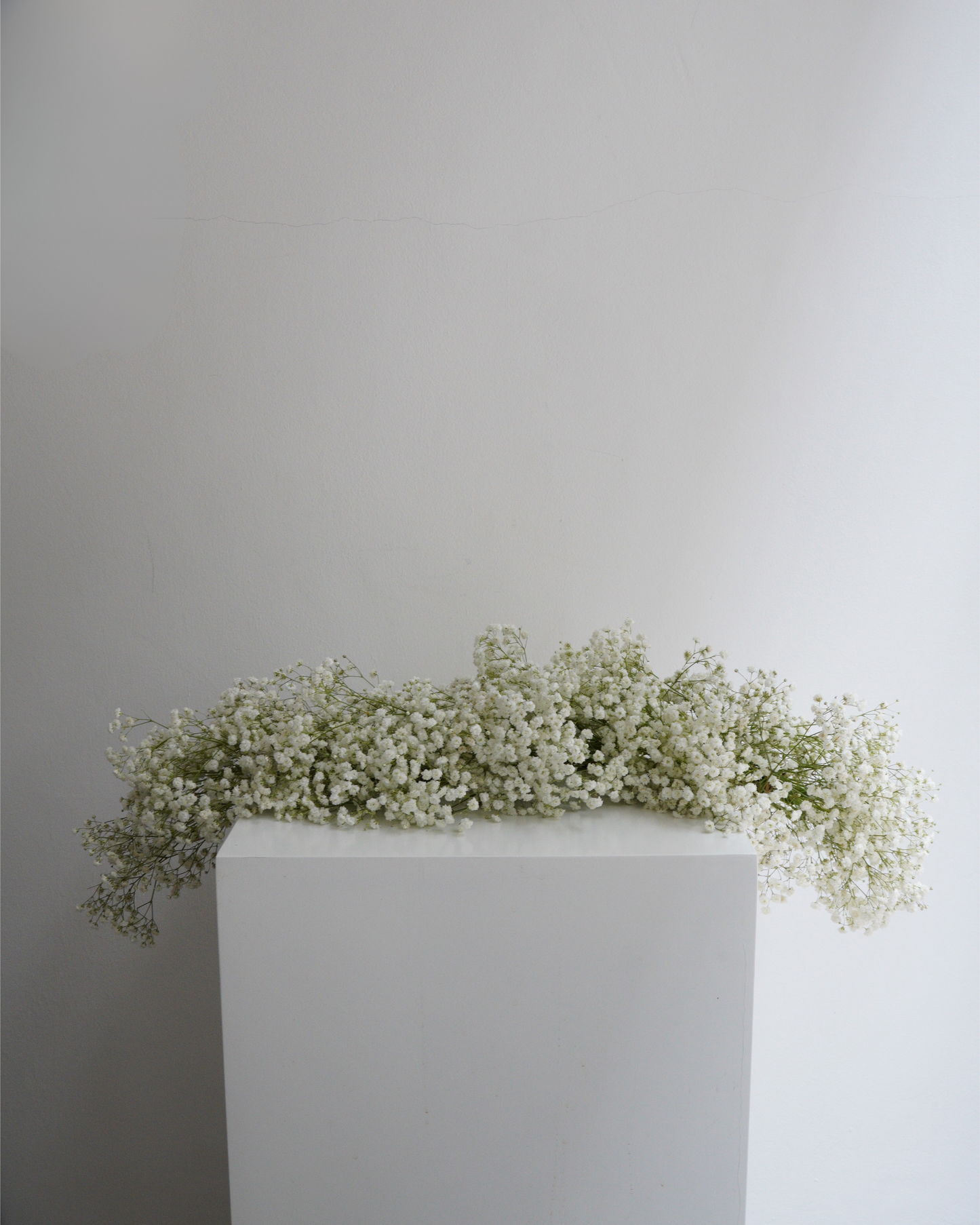 Baby's Breath Garland