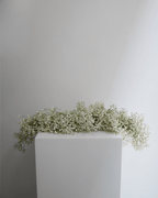 Baby's Breath Garland - Fiore Arte