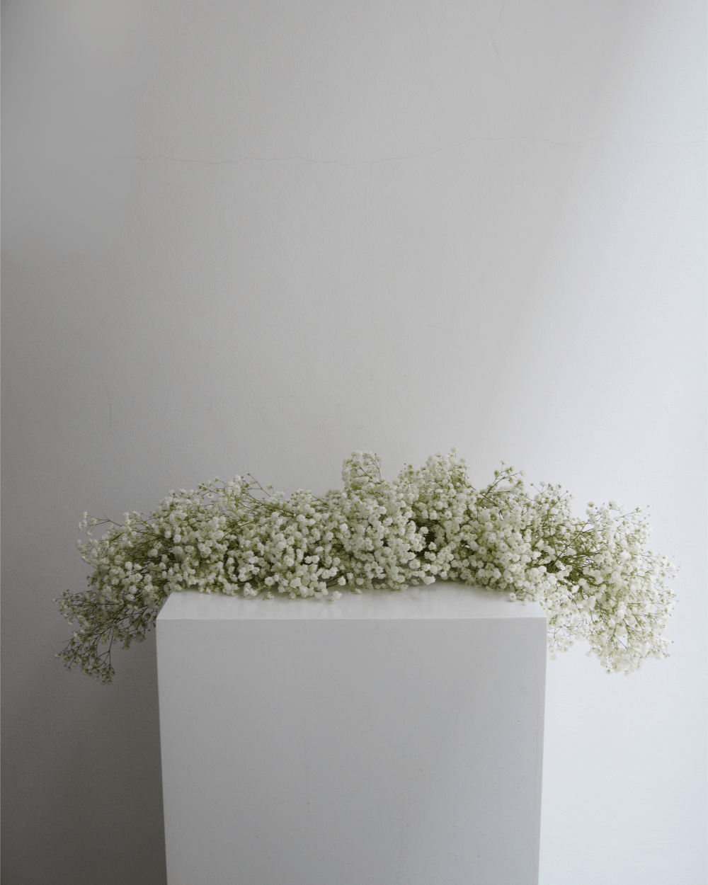 Baby's Breath Garland - Fiore Arte