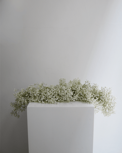 Baby's Breath Garland - Fiore Arte