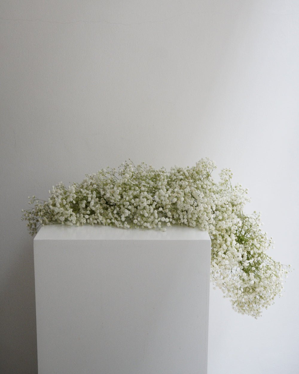 Baby's Breath Garland - Fiore Arte