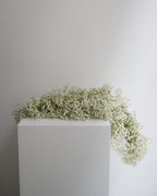 Baby's Breath Garland - Fiore Arte