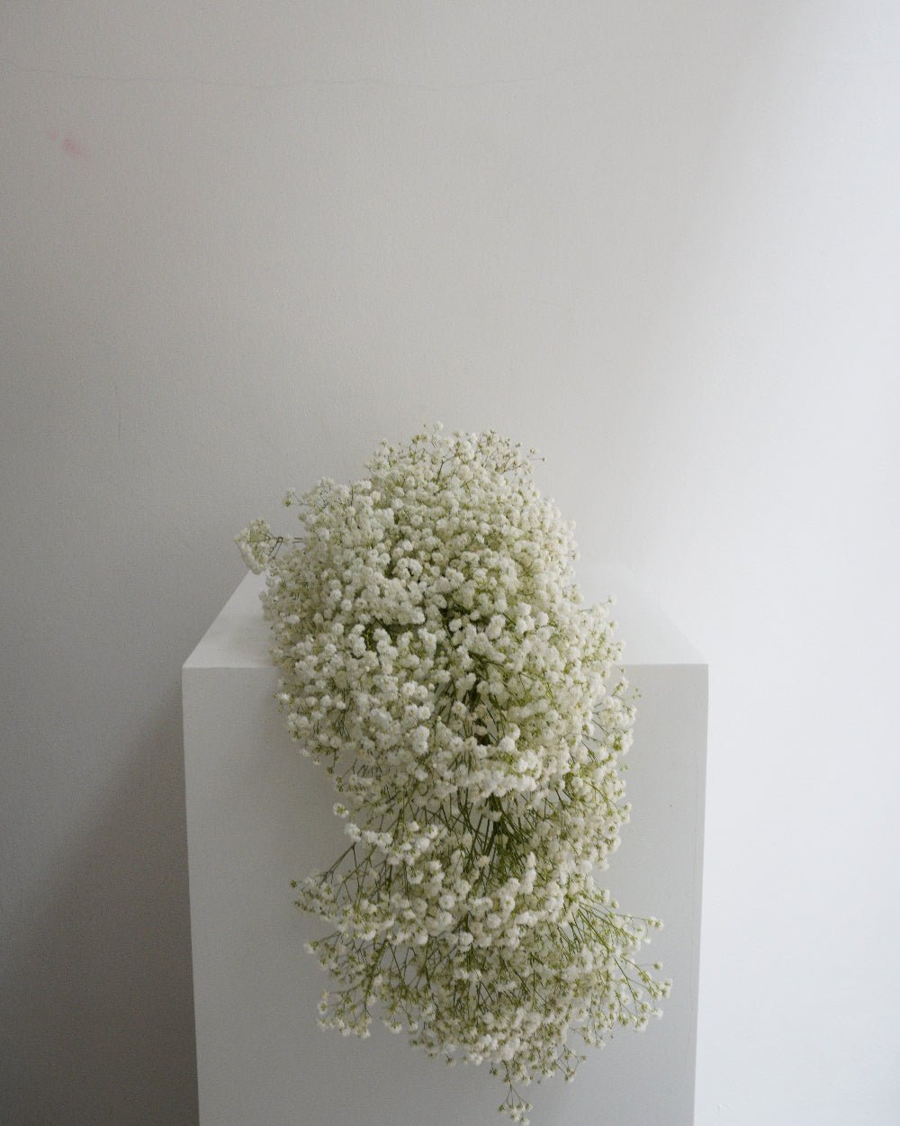 Baby's Breath Garland - Fiore Arte