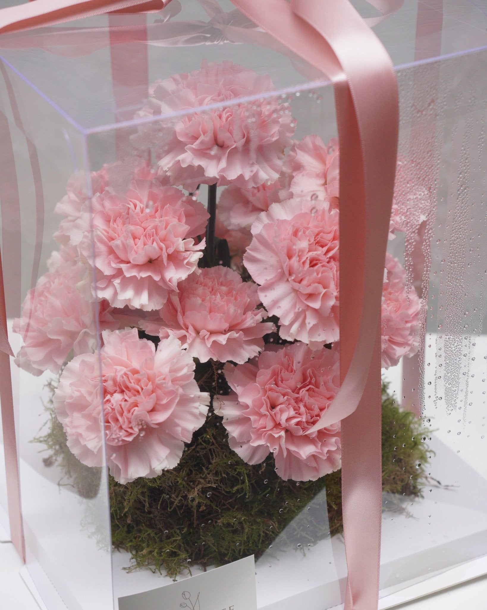 Carnations Garden - Fiore Arte