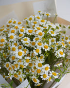 Daisy Bouquet - Fiore Arte