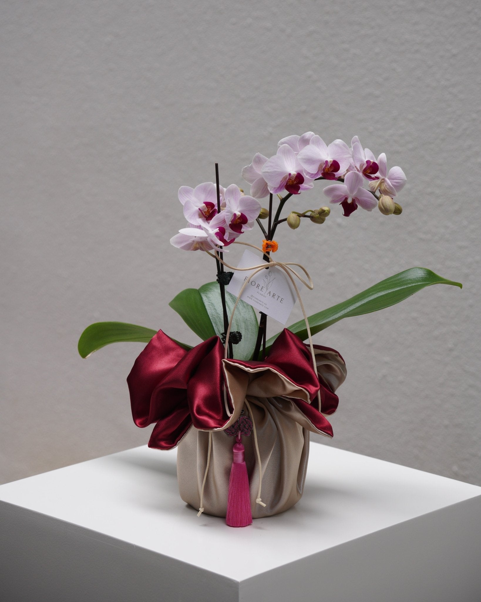 Double Stem Mini Orchid - Fiore Arte