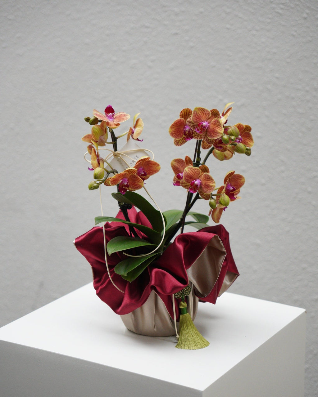 Double Stem Mini Orchid - Fiore Arte