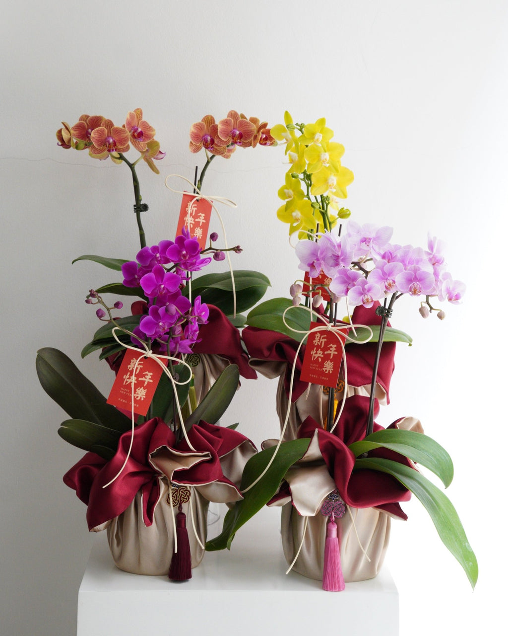 Double Stem Mini Orchid - Fiore Arte