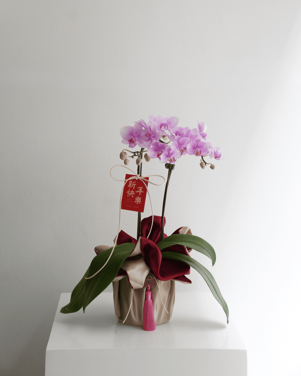 Double Stem Mini Orchid - Fiore Arte