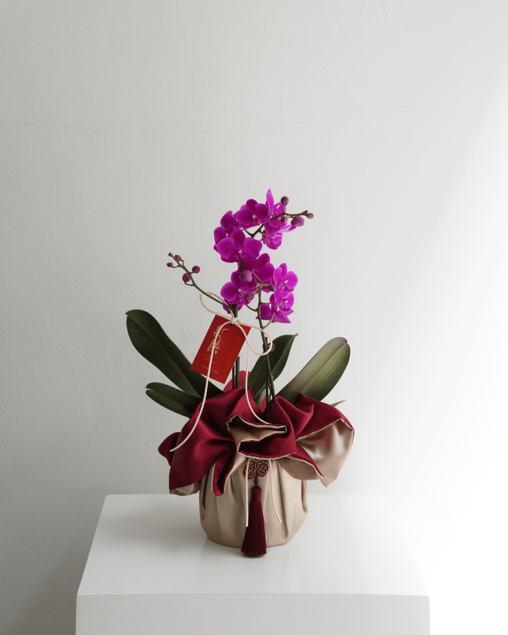 Double Stem Mini Orchid - Fiore Arte