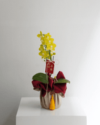 Double Stem Mini Orchid - Fiore Arte
