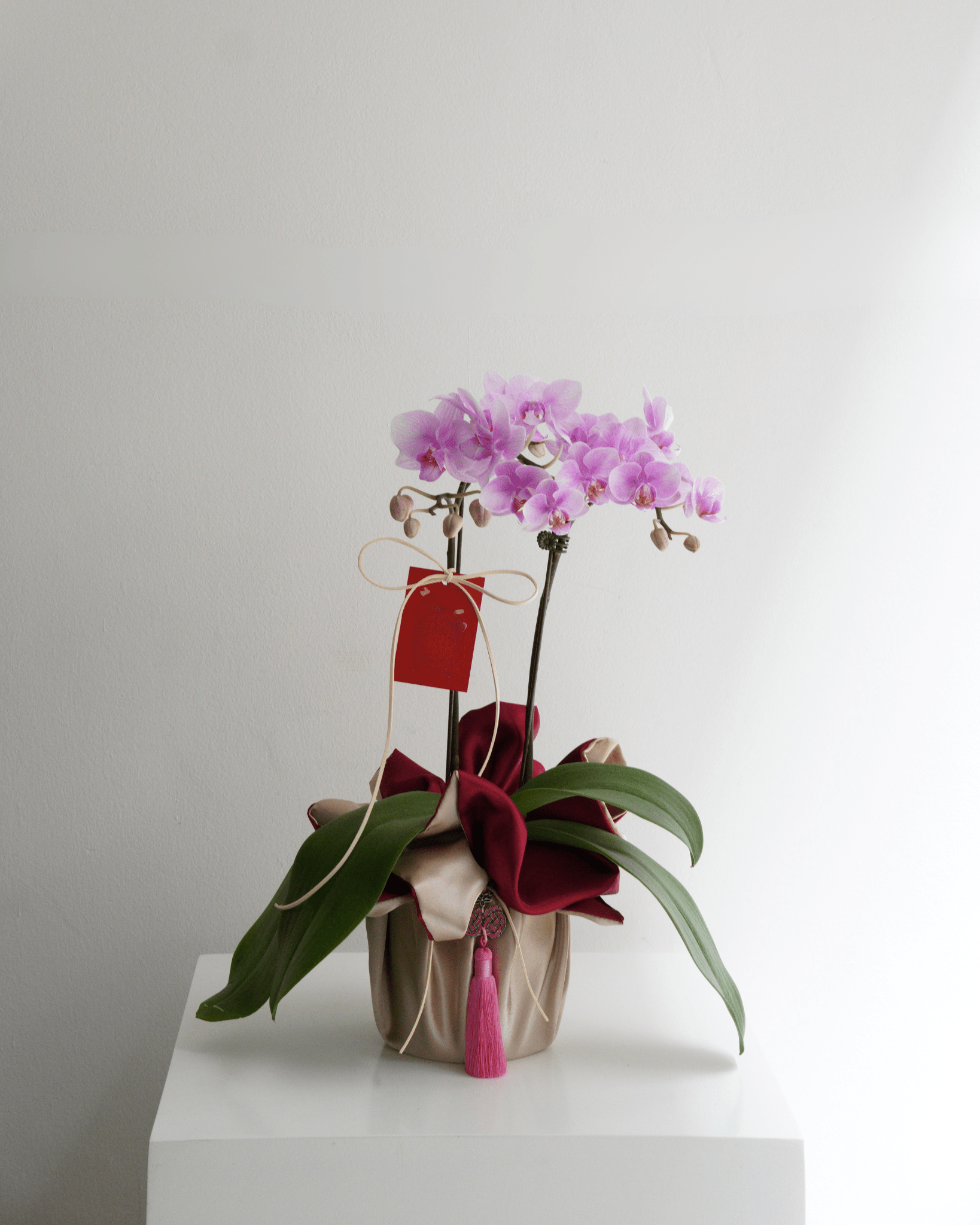 Double Stem Mini Orchid - Fiore Arte