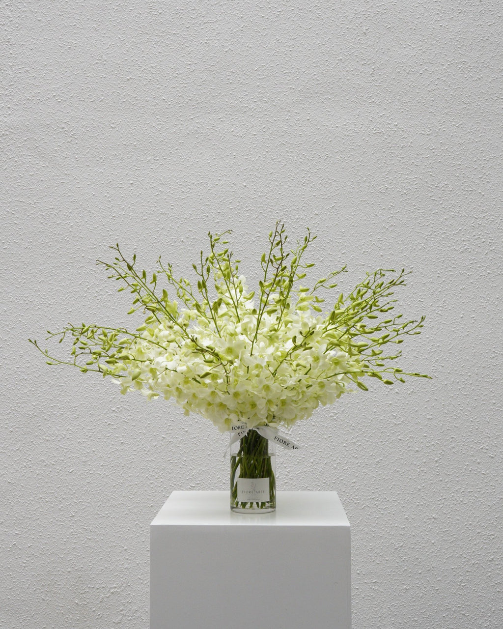 White Orchid en Masse - Fiore Arte