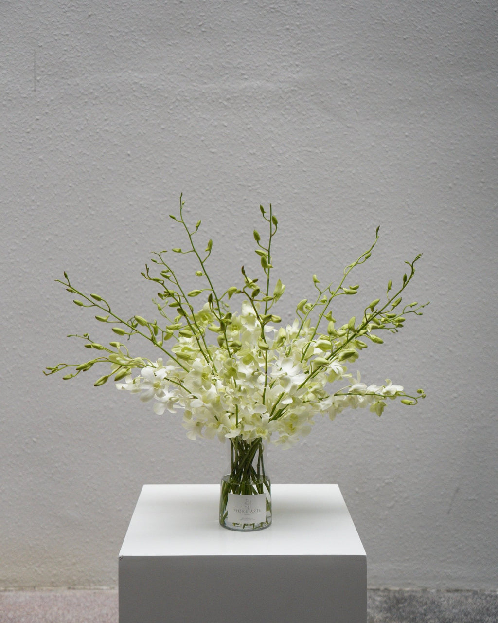 White Orchid en Masse - Fiore Arte