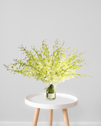 White Orchid en Masse - Fiore Arte